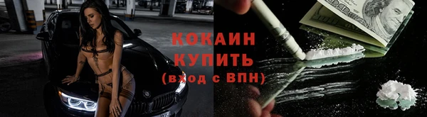 ПСИЛОЦИБИНОВЫЕ ГРИБЫ Козловка