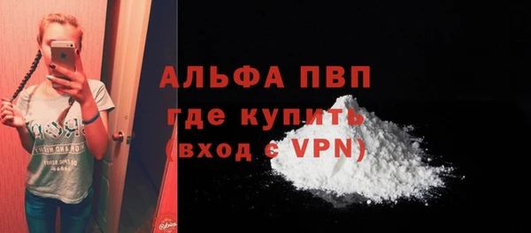 ПСИЛОЦИБИНОВЫЕ ГРИБЫ Козловка