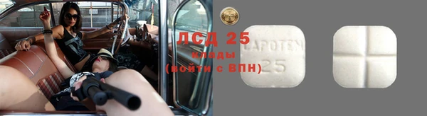 ПСИЛОЦИБИНОВЫЕ ГРИБЫ Козловка