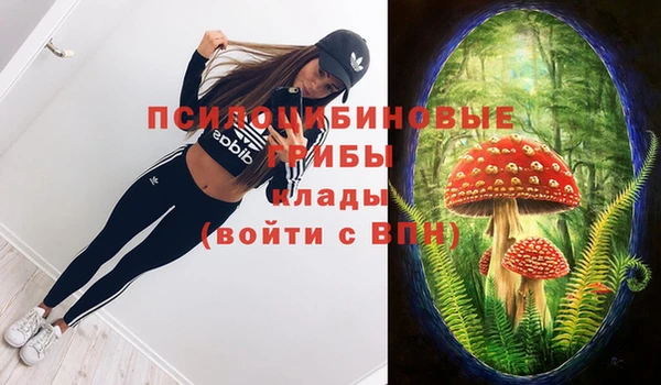 бутират Кодинск