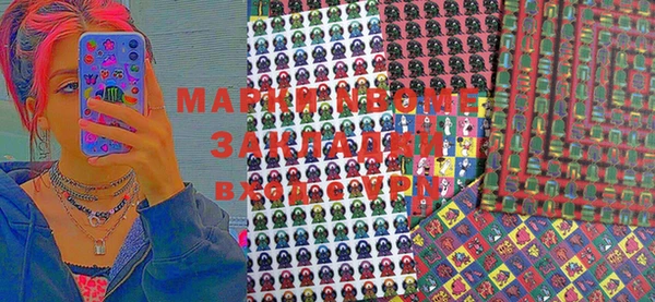 ПСИЛОЦИБИНОВЫЕ ГРИБЫ Козловка