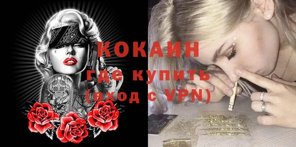 дживик Коряжма