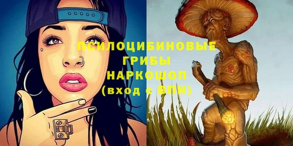 трава Корсаков