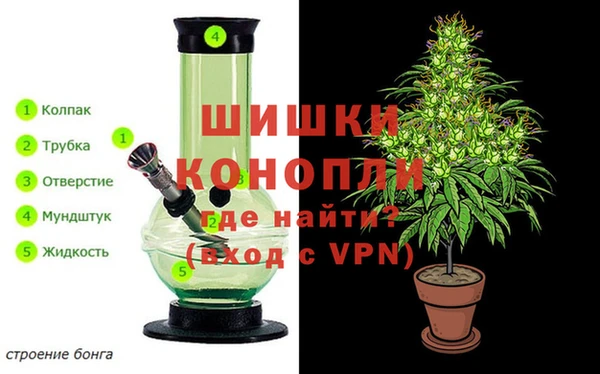 трава Корсаков